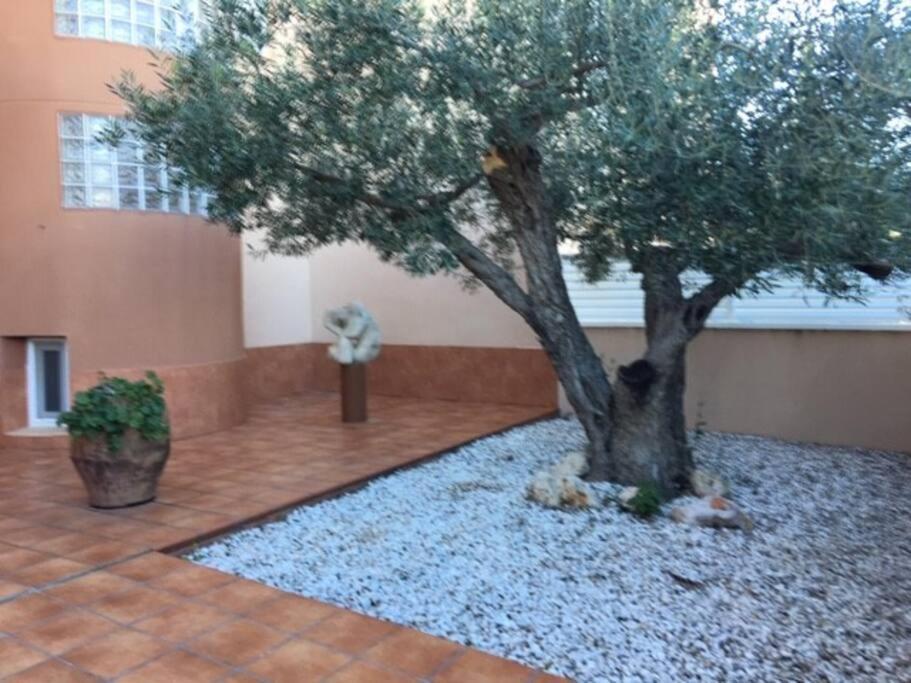 Preciosas Vistas Al Mar Y Montana En La Ampolla Apartment Л'Ампола Екстериор снимка